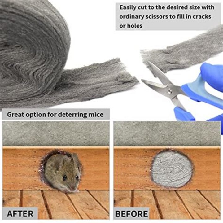 Does steel wool stop rats?