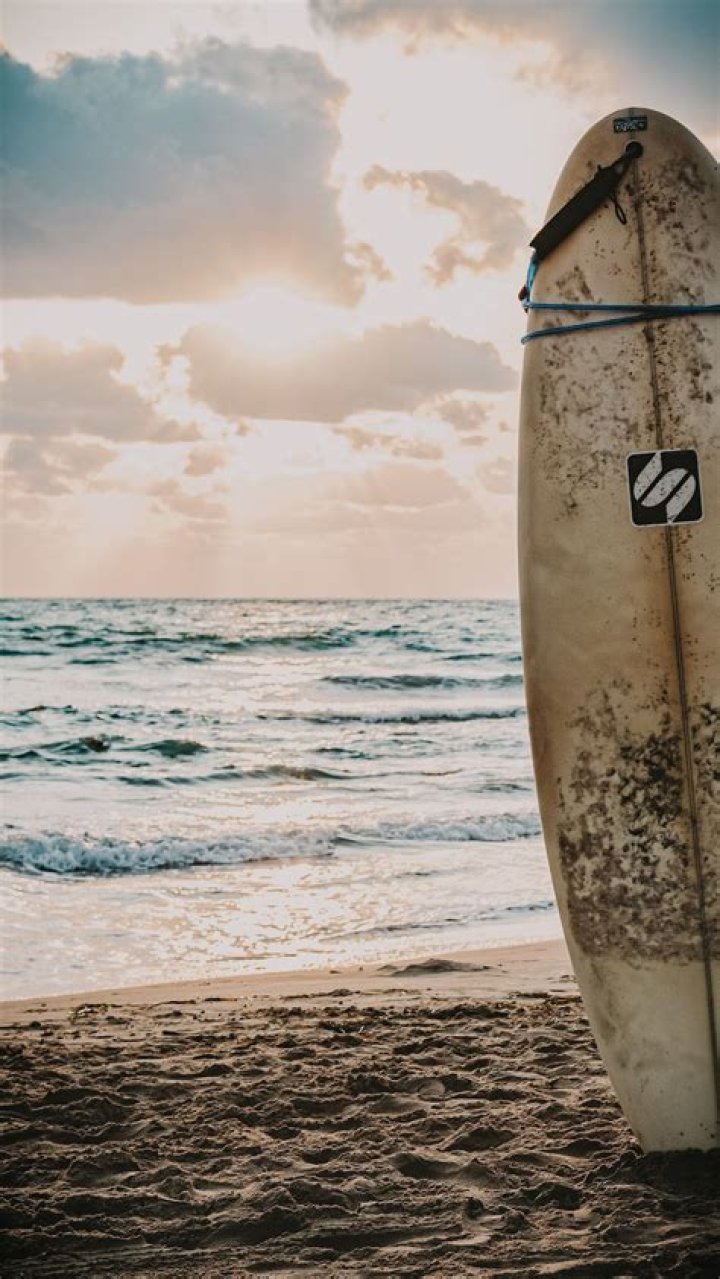Does surf wax harm the ocean?
