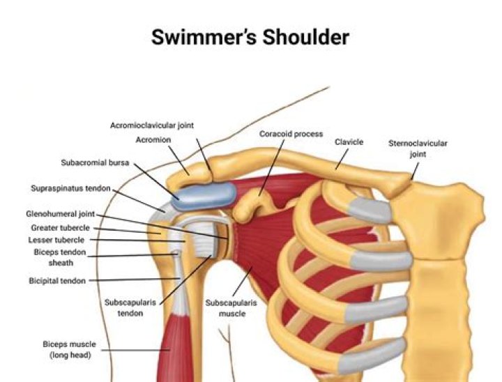 Does swimming strengthen joints?