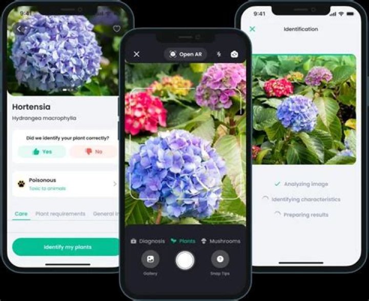 Does the Plantin app work?