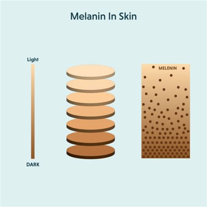 Does the sun increase melanin?