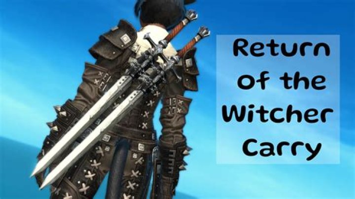 Does The Witcher carry 2 swords in the books?