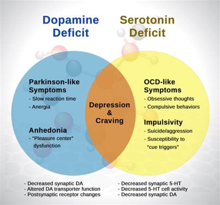 Does tramadol affect dopamine or serotonin?