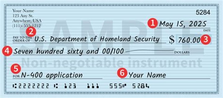 Does USCIS check police records?