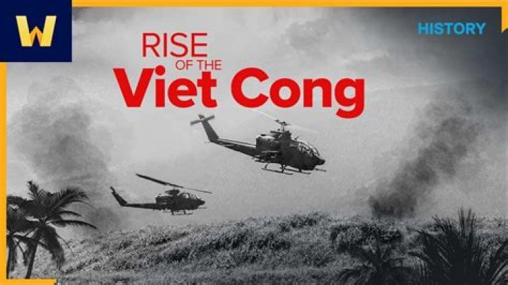 Does Viet Cong still exist?