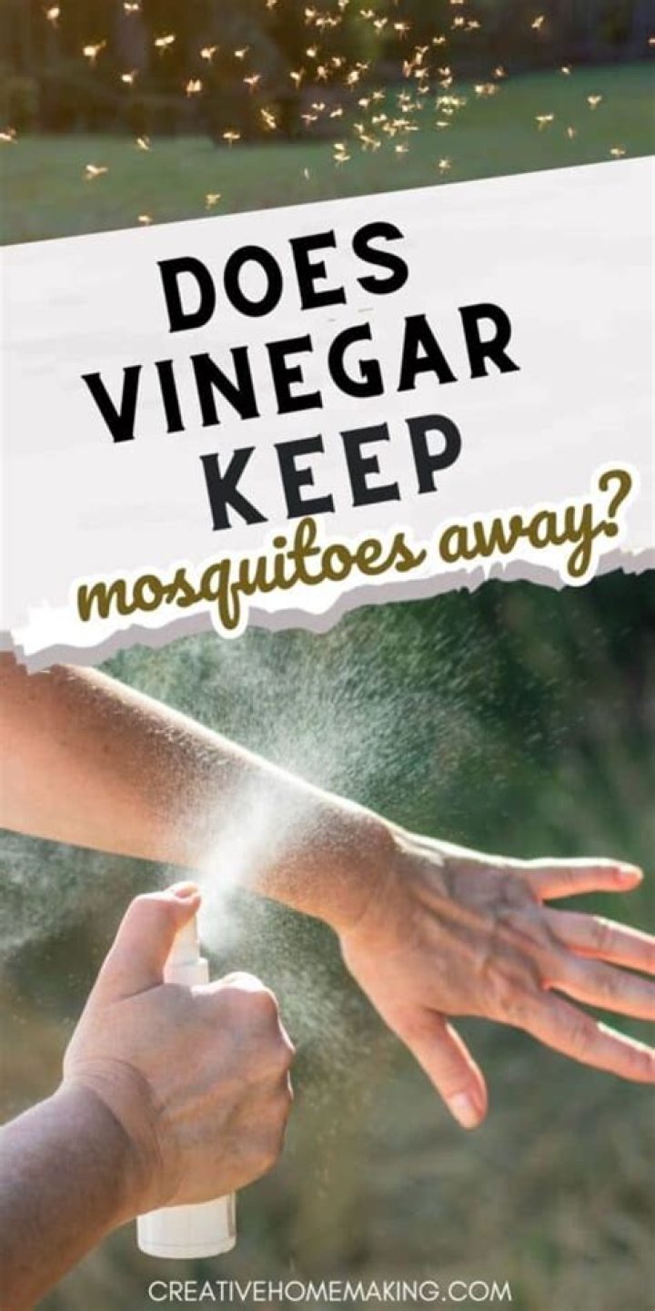 Does vinegar keep mosquitoes away from dogs?