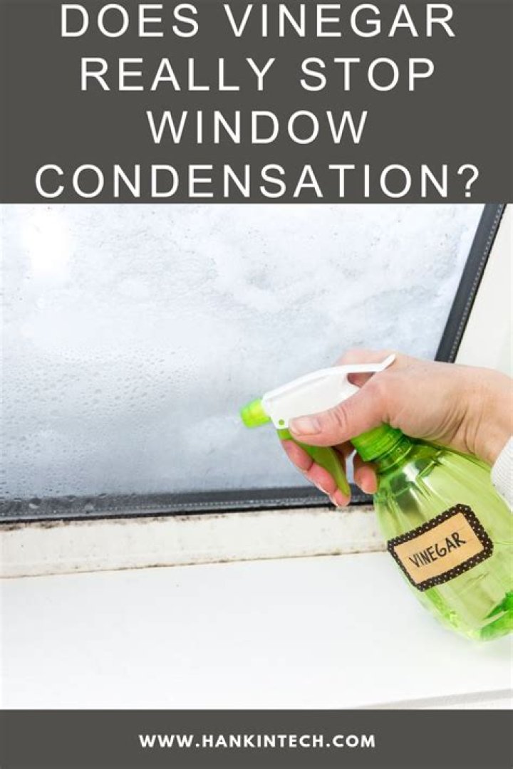 Does vinegar stop condensation windows?