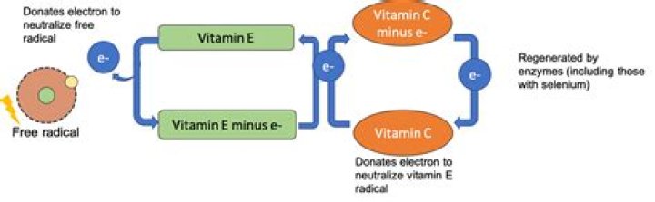 Does vitamin E prevent melanoma?