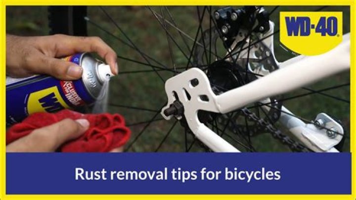 Does WD-40 prevent rust on bikes?