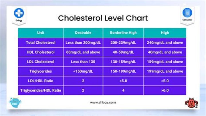 Does what you eat the night before affect cholesterol test?