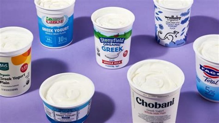 Does yogurt make you smarter?
