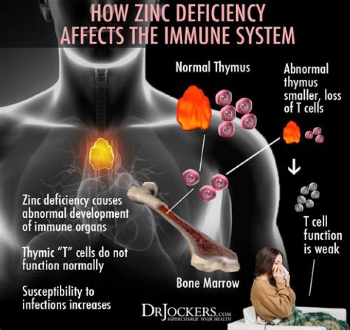Does zinc heal the gut?