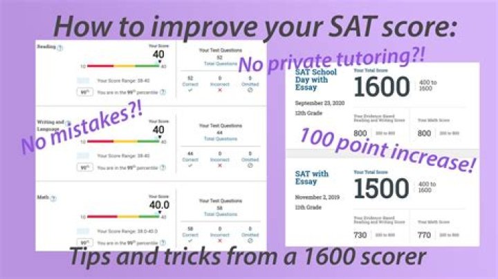 Has anyone ever got a 1600 on the SAT?