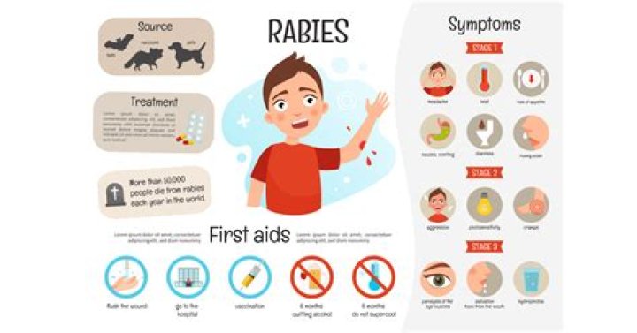 Has anyone survived rabies after symptoms?