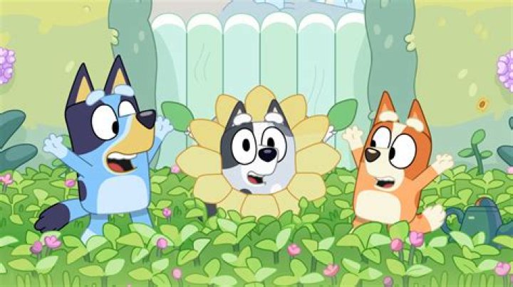 How are Bluey and Muffin related?