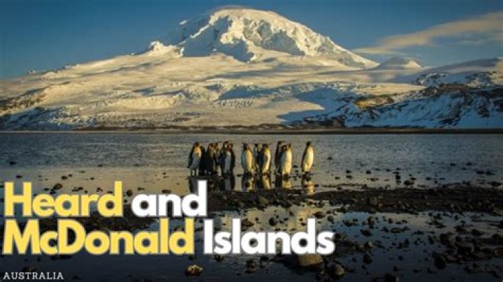 How big are McDonald's heard islands?
