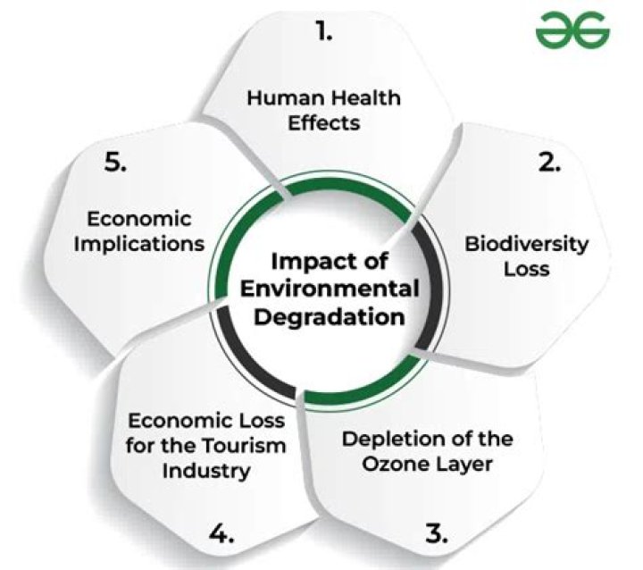 How can developing countries reduce the negative impacts of environmental degradation?