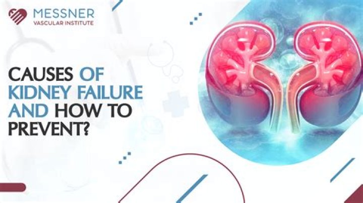 How can I prevent kidney failure?