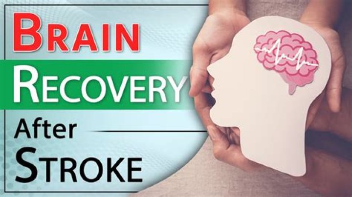 How can I rebuild my brain after a stroke?