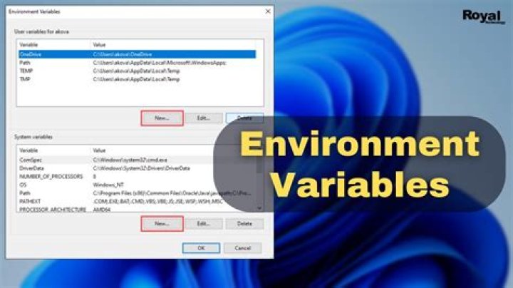 How can I see all environment variables?