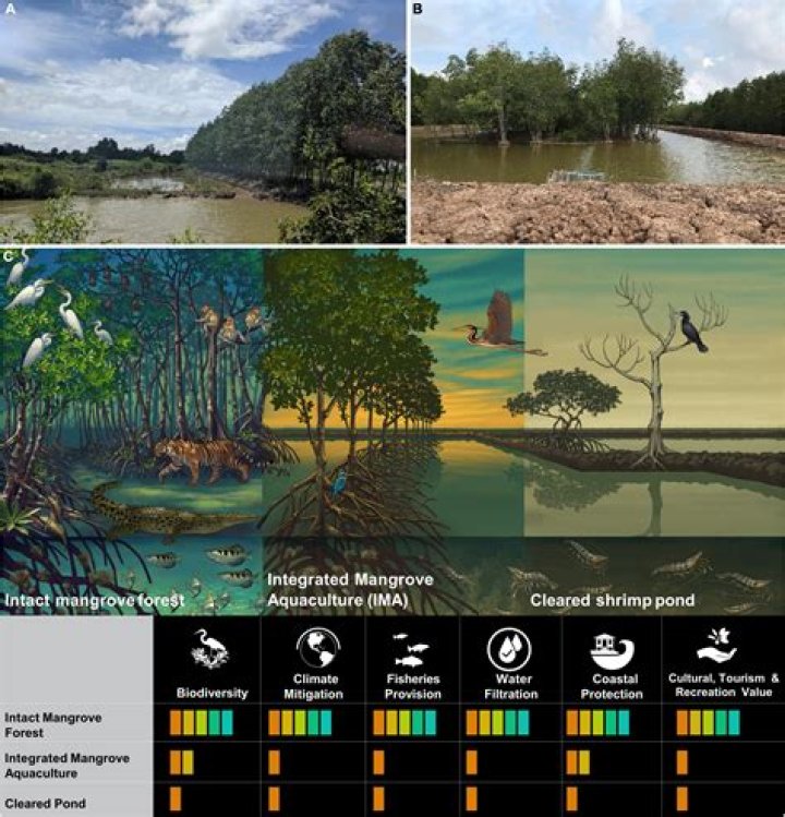 How can we help Haiti?