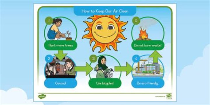 How can we make our city clean and green?