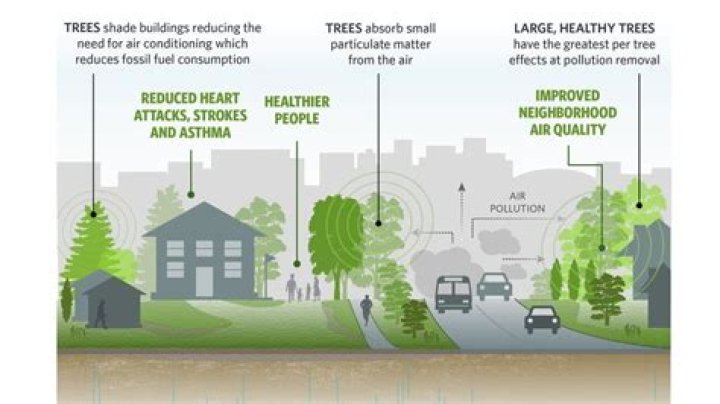How can we reduce pollution in cities?