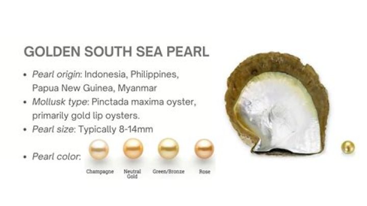 How can you tell a South Sea pearl?