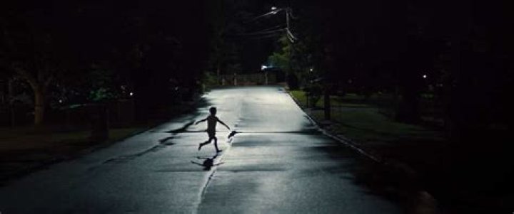 How did Aunt Beast help Meg?