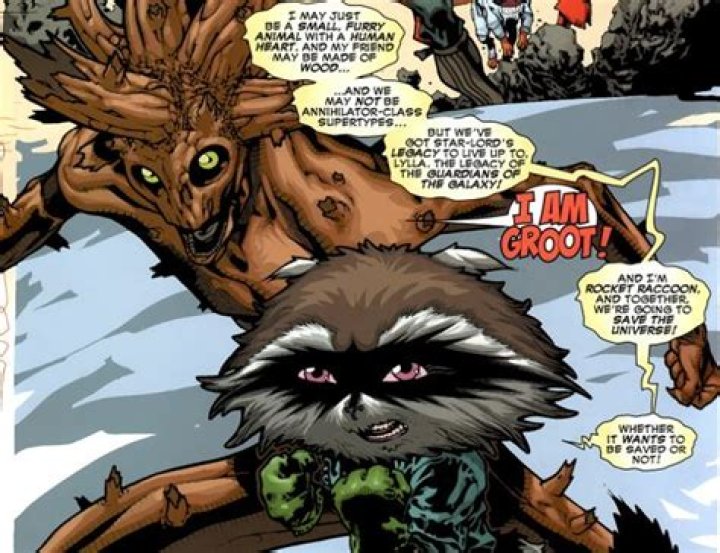 How did Groot and Rocket meet?