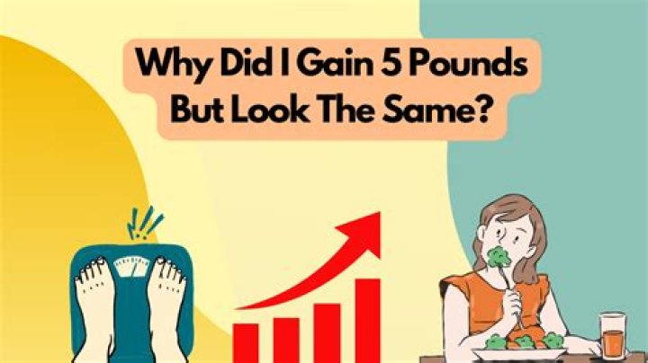 How did I gain 5 pounds in a day?