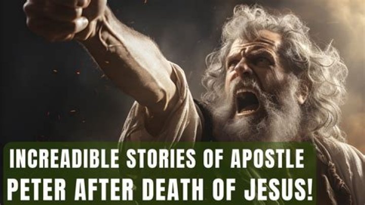 How did Peter become an Animagus?