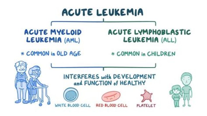 How do adults get leukemia?