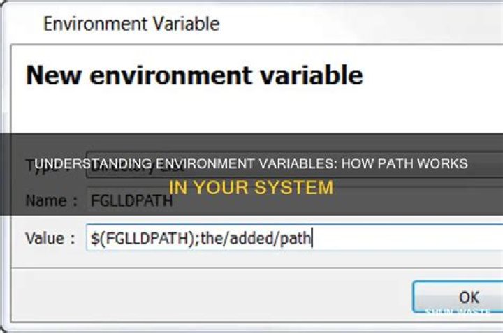 How do environment variables work?