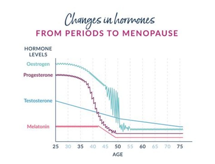 How do husbands cope with menopause?