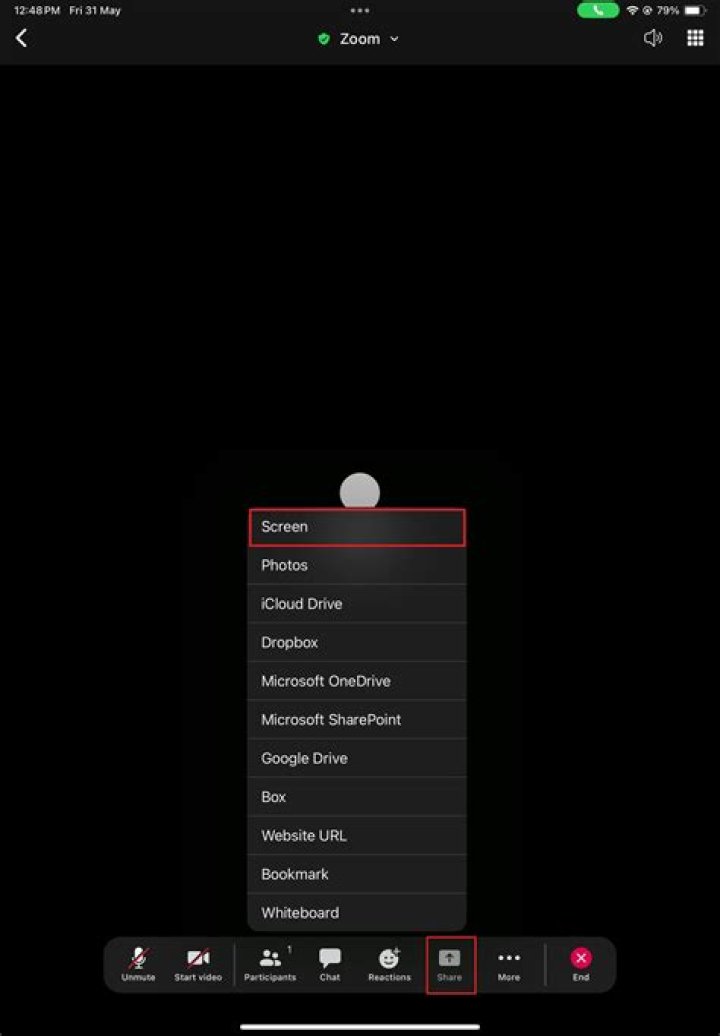 How do I bypass green screen on Zoom?