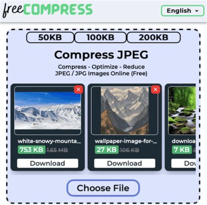 How do I compress a JPEG to 300kb?