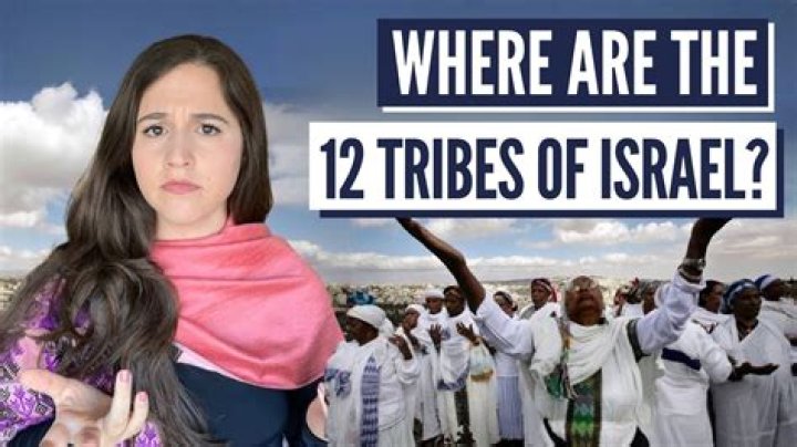 How do I find out if I belong to a tribe?