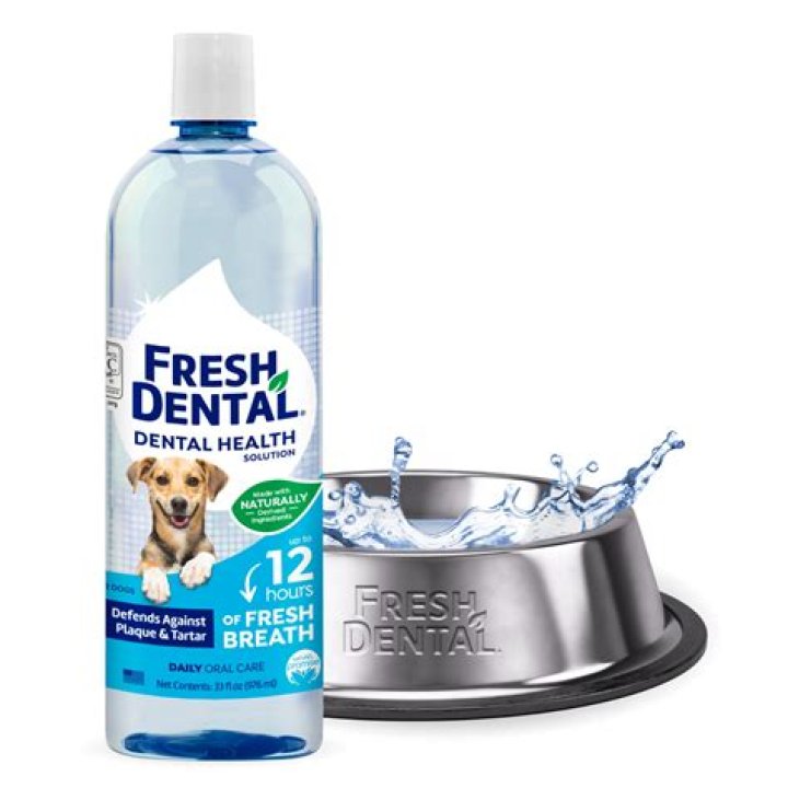 How do I freshen the air in my basement?