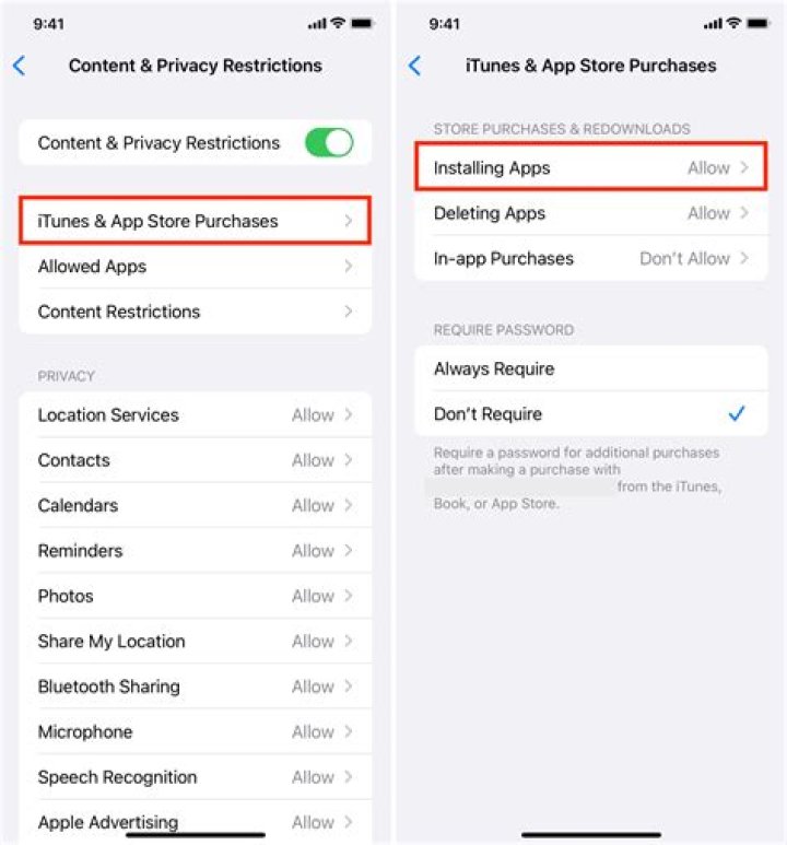 How do I get more themes for my iPhone?