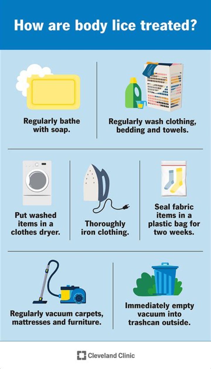 How do I get rid of body lice in my home?