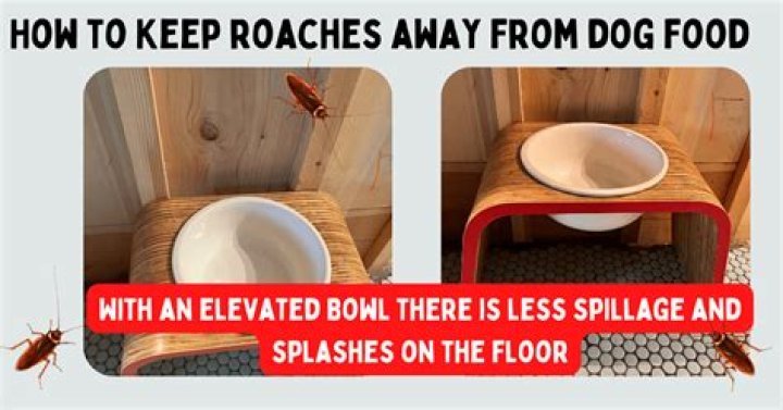 How do I keep roaches out of my toilet?