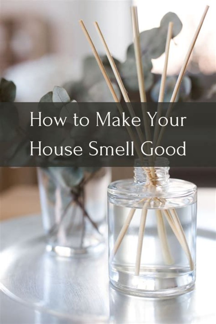How do I make my house smell like a Christmas tree?