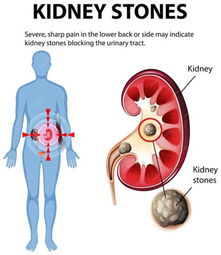 How do I nourish my kidney yin?