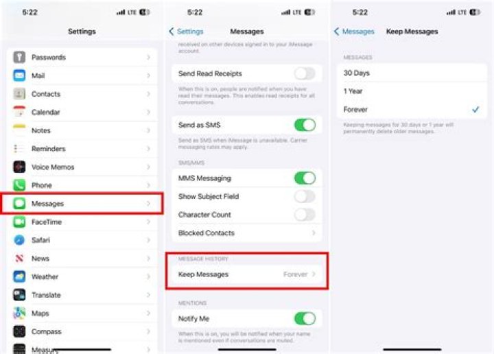 How do I permanently delete messages from iCloud?
