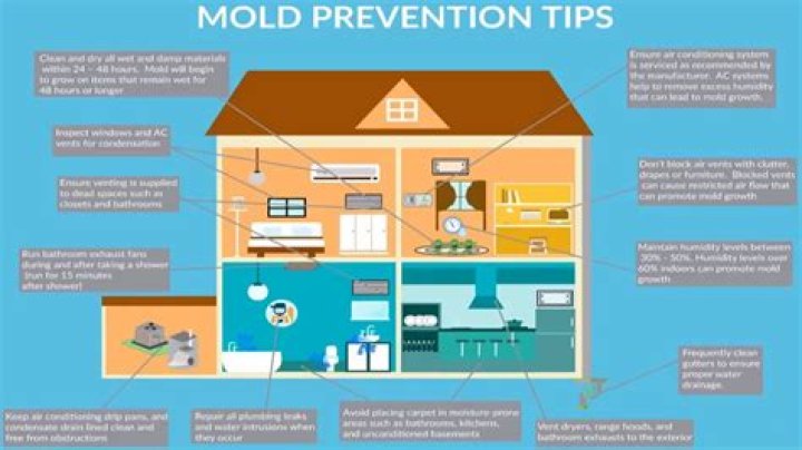 How do I prevent mold in my bedroom?