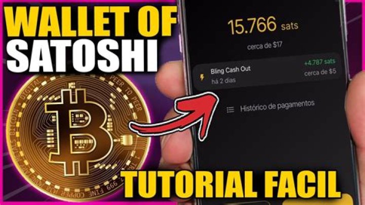 How do I send bitcoins from blockchain to wallet of Satoshi?