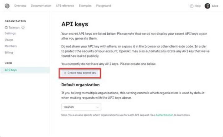 How do I set an API key as an environment variable?