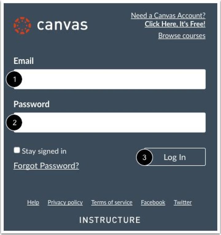 How do I set up a student canvas account?
