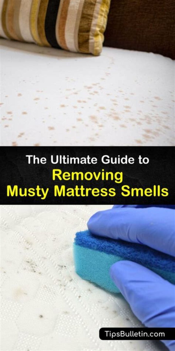 How do I stop my bed from smelling musty?